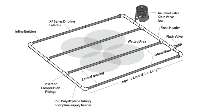 drip irrigation layout